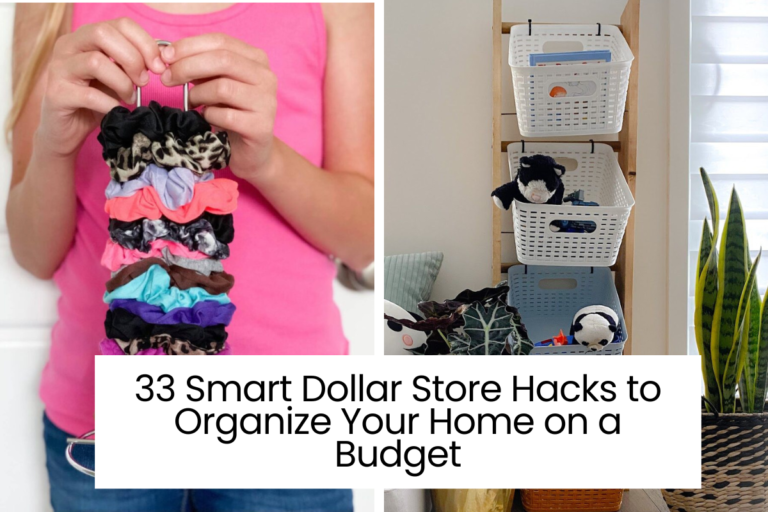 33 Smart Dollar Store Hacks to Organize Your Home on a Budget