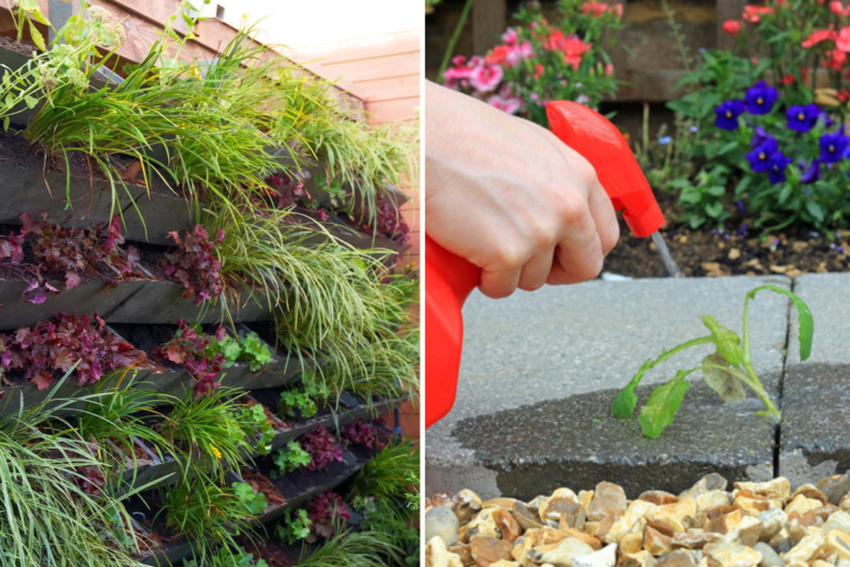 40 Garden Hacks to Create an Eco-Friendly Garden on a Budget