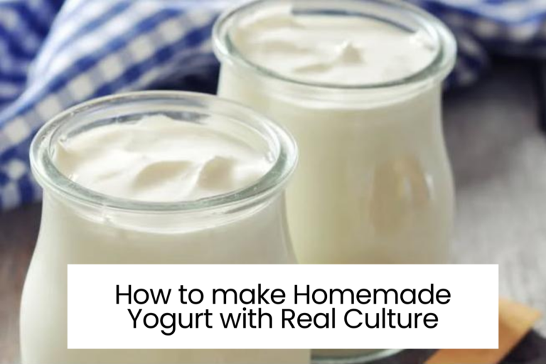 How to make Homemade Yogurt with Real Culture